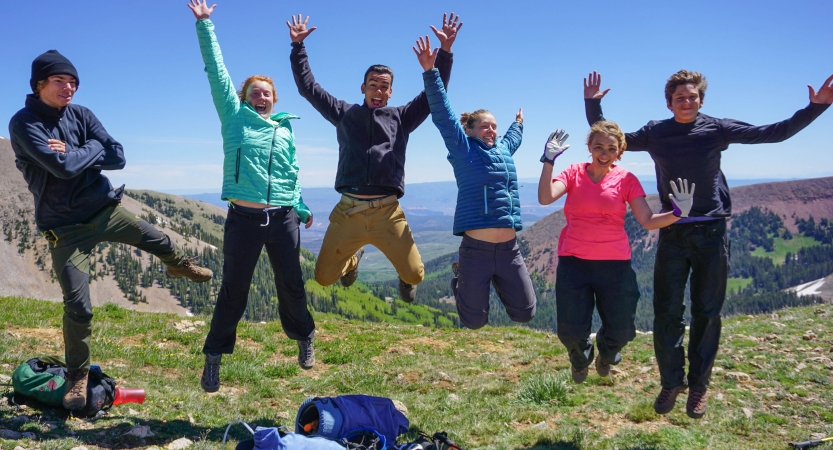 Six people jump into the are in a green meadow. They appear to be at high elevation. 